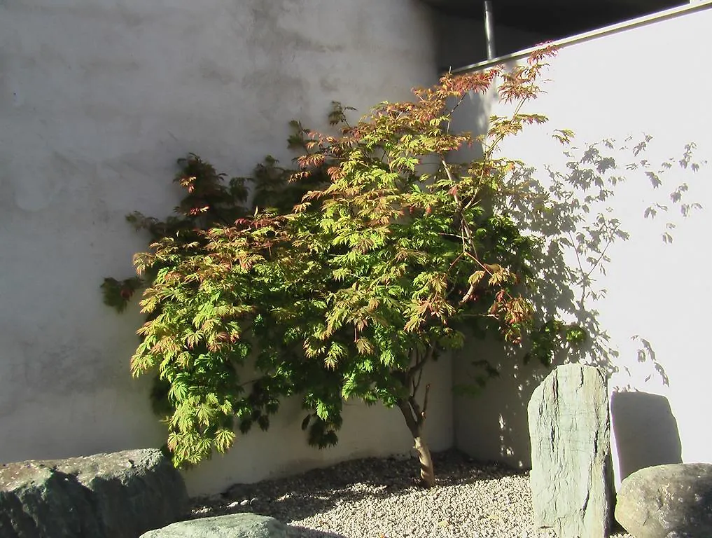 Bergland Hotel - Adults Only Salzburgo